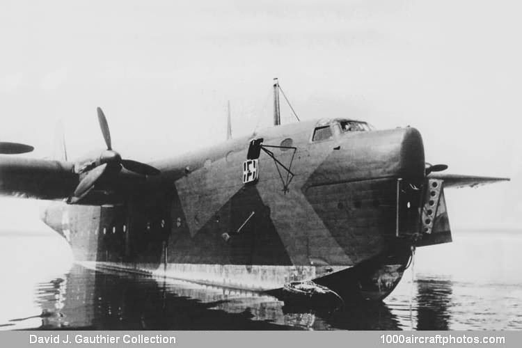 Cyber A�ro Breton - BLOHM UND VOSS BV 238 V-6 A-02