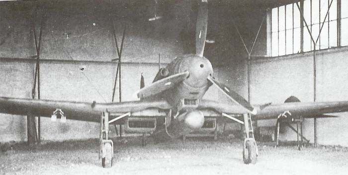 Cyber A�ro Breton - FIAT G.55S SILURANTE