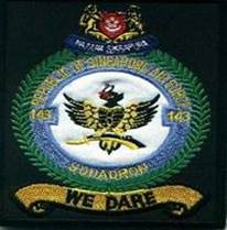 Squadron 143