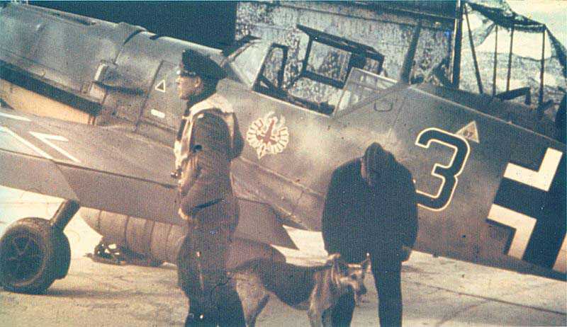 Cyber A�ro Breton - GA-QI ME109E_7