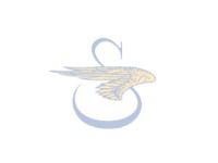 Cyber A�ro Breton - Constructeur : SIKORSKY